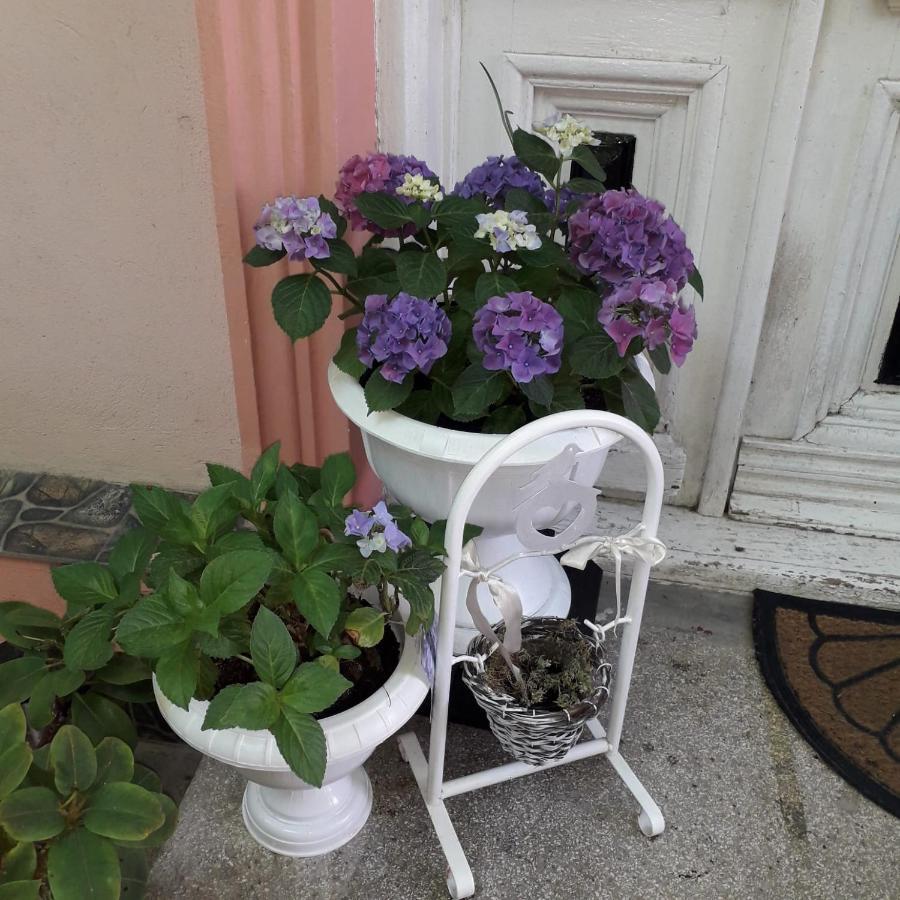 Victory Sea House Constanta Exterior photo